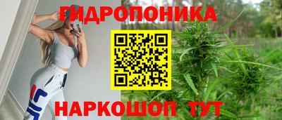 мяу мяу мука Партизанск